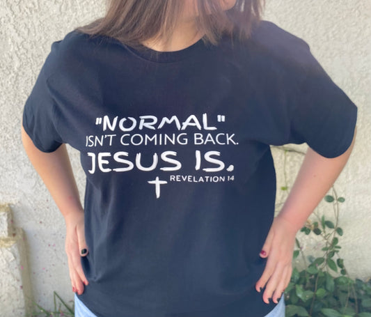 Normal Isn't Coming Back Jesus Is